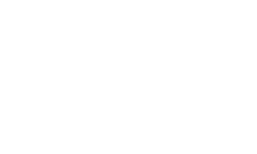 BUM Logo
